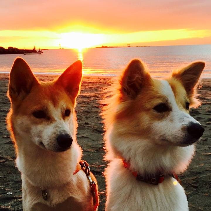 37869eda e925 4940 a78d 4cd2fc949562