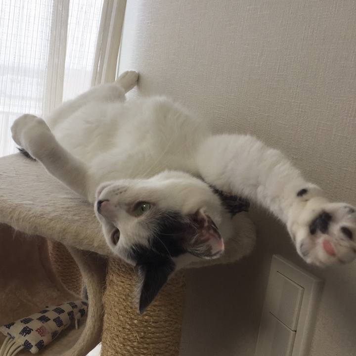 37873731 e5d4 40f7 a7db 340bb32e3a41