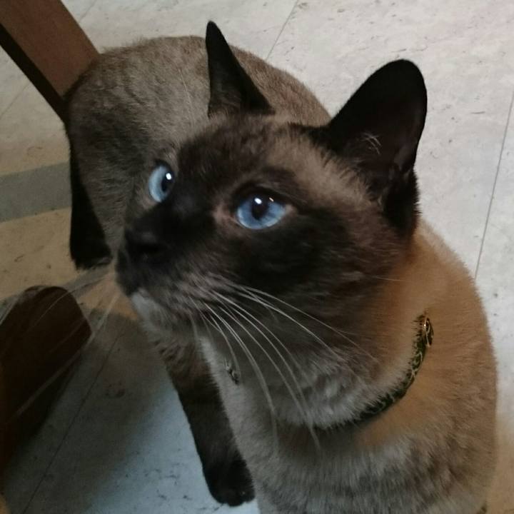 37876a26 7991 416a bccd 264c5b7d43b1