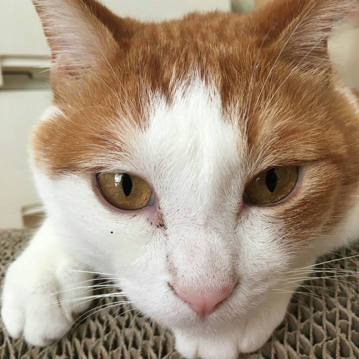 378780c8 cd9e 4987 ad79 c93a2a113eed