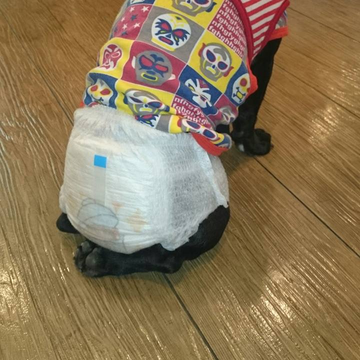 3787e276 3230 451d a185 118dd1c0b41a