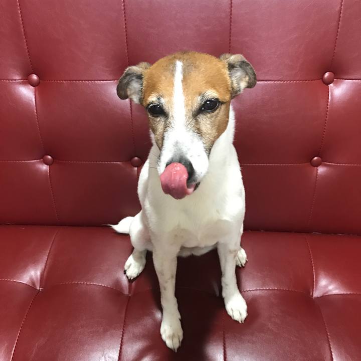 3788071c d8a0 48ed a810 5d1f57b14886