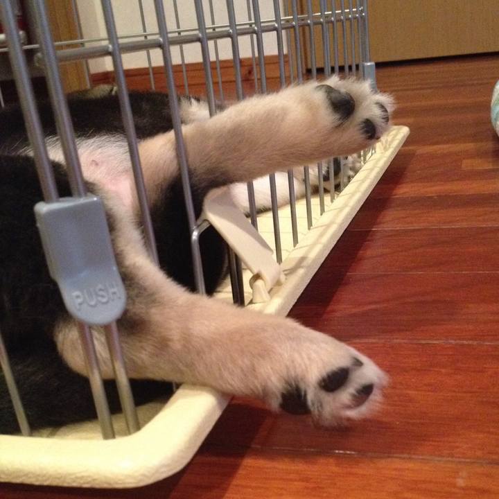 37882f46 923e 49d7 9b72 db9e419e4299