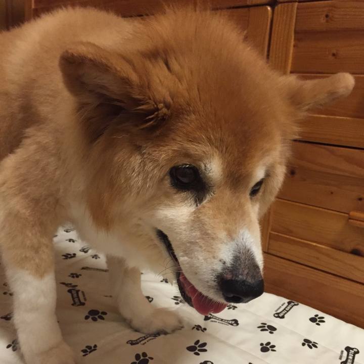 37886edf 2cd2 4ffa a59e ca03dff82b21