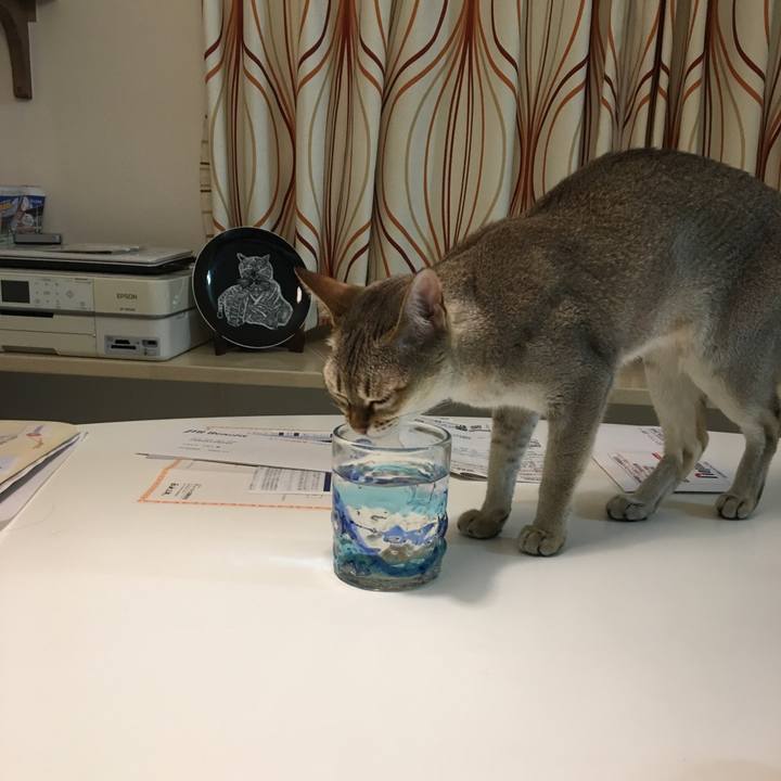 378903cc 9fc9 4be6 b0e7 4fb6bcda8d0d