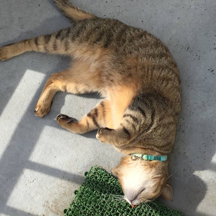 37892d78 a074 4c02 b553 0c978fd09b0c