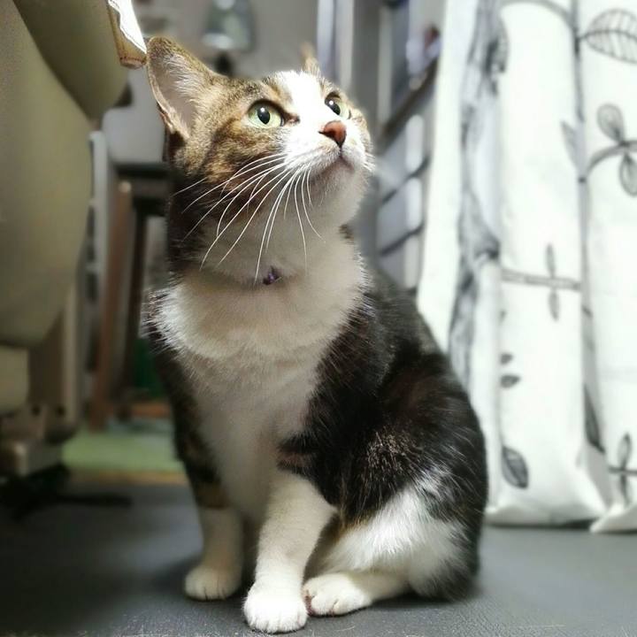 3789c984 bc8a 4792 8b3a abab7ddffe4f