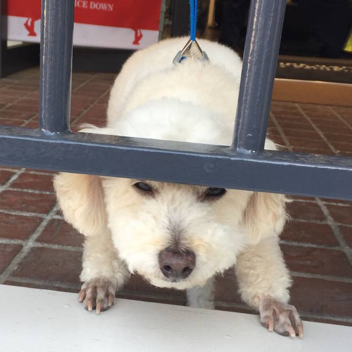 3789f665 bc99 45cf b248 4c8a4988ae1f