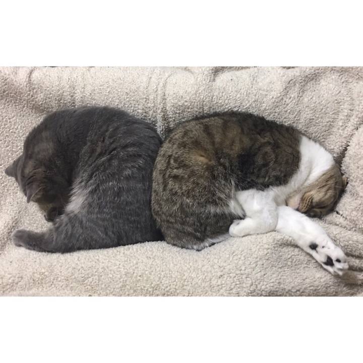 378a16cd cc0a 44e9 88b3 9a23eda71fbf