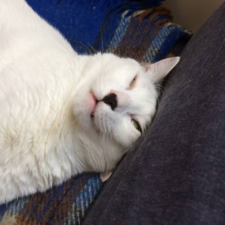 378b1502 23b7 4da3 9a6d 6641399f6cf2