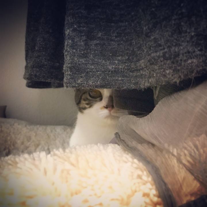 378b82d1 4f4e 49d9 a8d2 4b2804f78beb