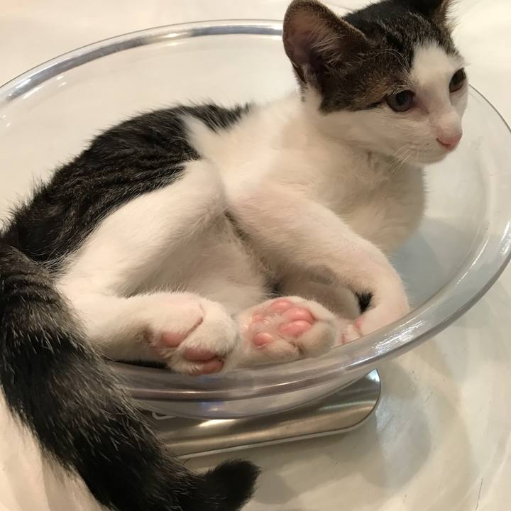 378bb762 b432 4f52 9a9b 6444cbf1f6d0