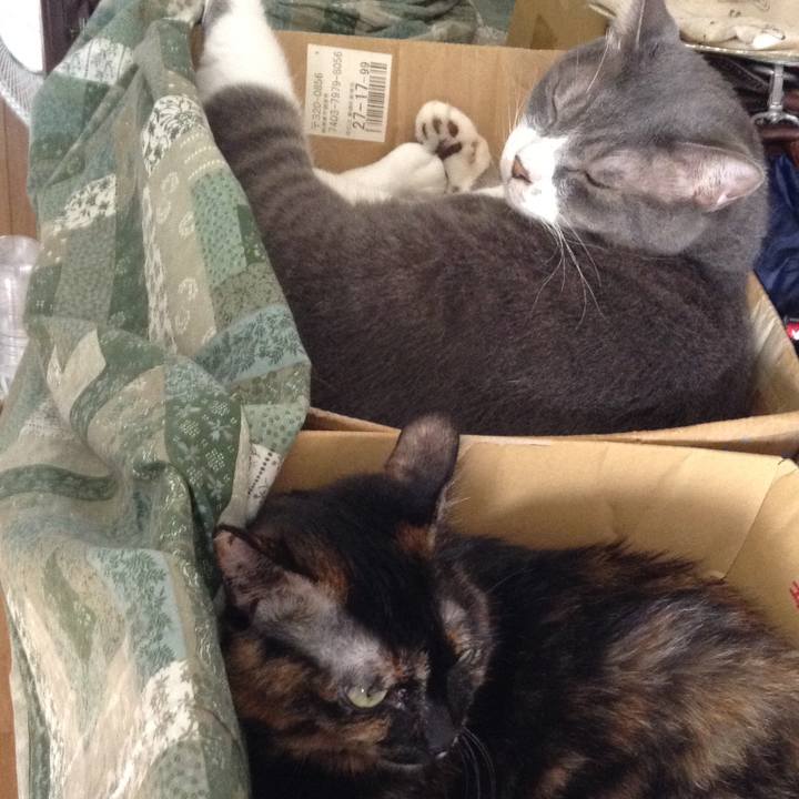 378c46e3 e6d8 48f5 a36d 9a316f9a365f