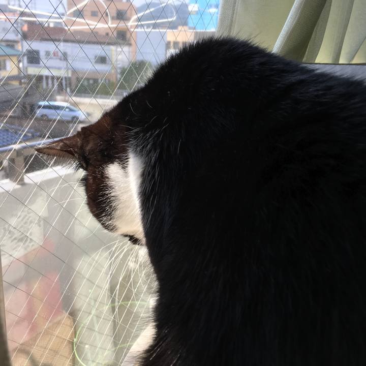 378cd985 ae9d 4682 92c1 d013a20ea6b2