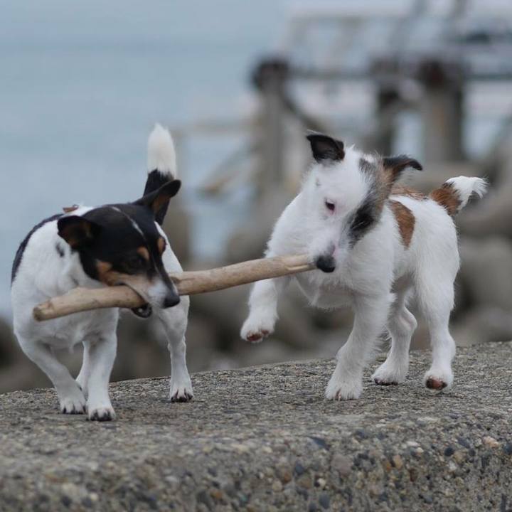 378d6783 678a 414d a277 909df7f33244