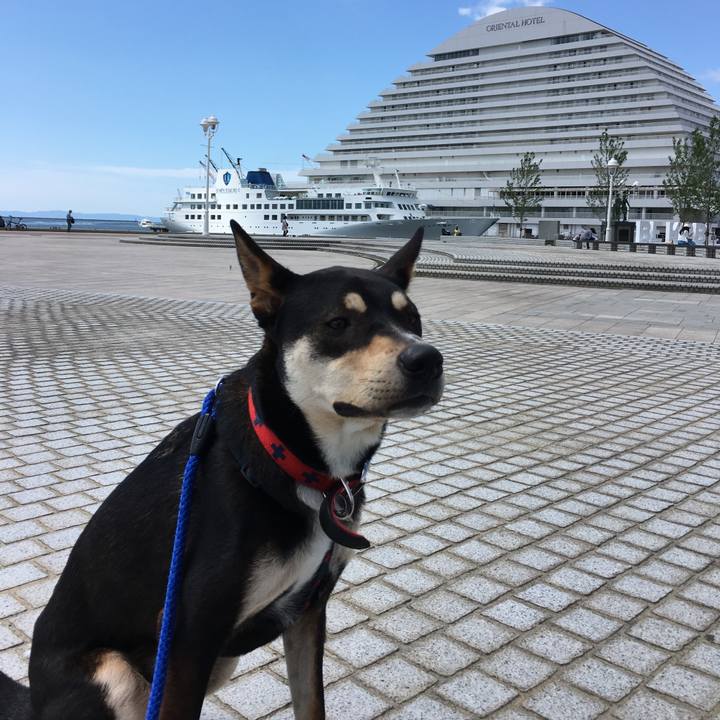 378e2191 24c0 4041 8300 2f5c53197c02