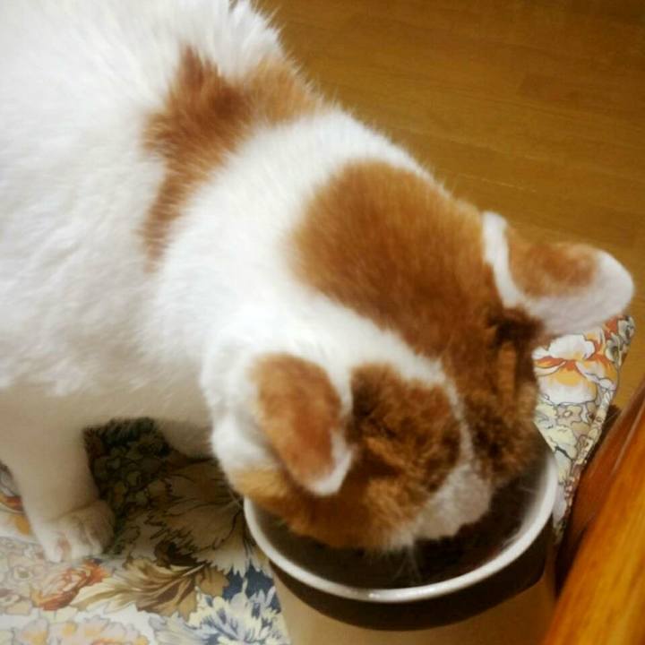 378e9ba8 f78d 4d98 a958 104524d88f4a