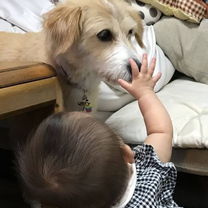 378ebce3 4383 4969 b317 558cd5bf4043