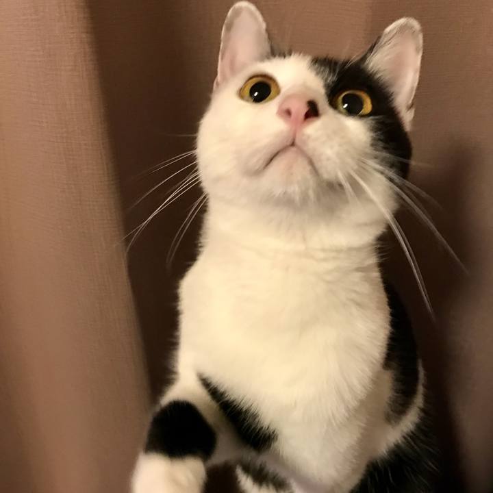 378f587d 4bff 4d7a af1e f20acfbf42b2