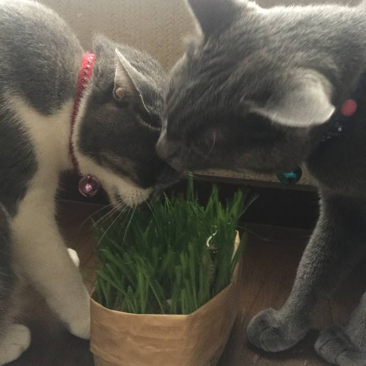 378fade4 ac34 4cc2 8676 fe04615b570b