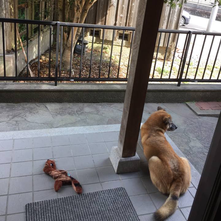 37900838 0b1d 4324 84aa bd99f3c49bed