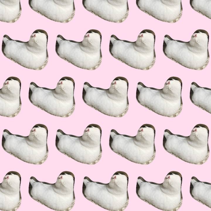 37902104 be31 458e 8a33 45f5f90e4a35