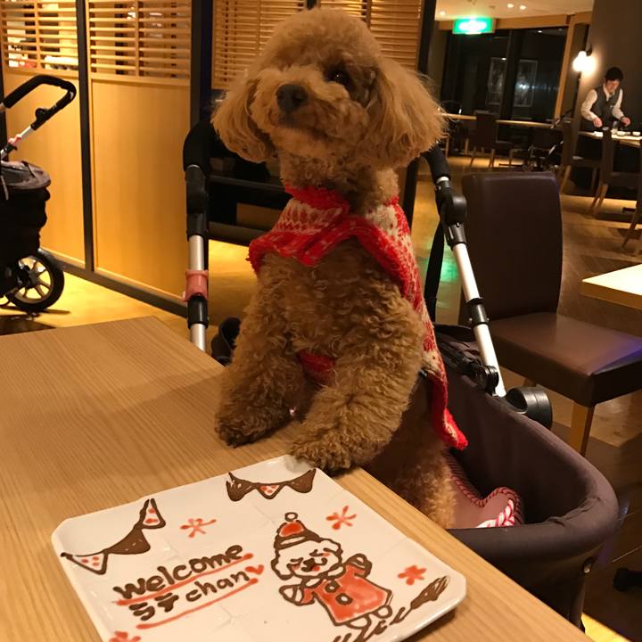 37904235 2fb7 4b7d 8e84 02cec0d698d1