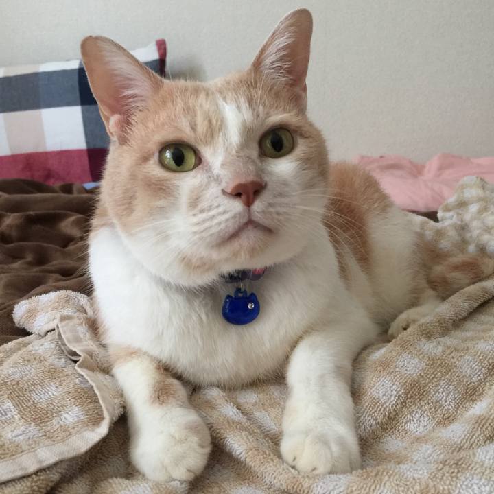 3790683e 59b2 40db b232 4f83e559bafc