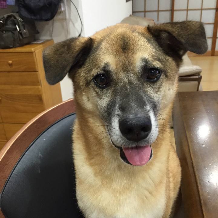 37909c87 a054 4481 81e2 3991bdd57227