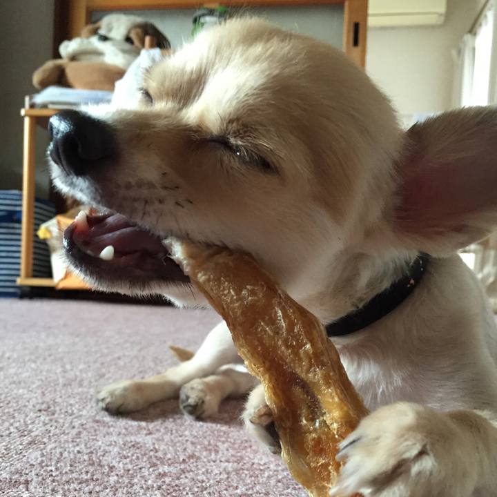 37915b90 7805 445f 8d16 8f32bf611802