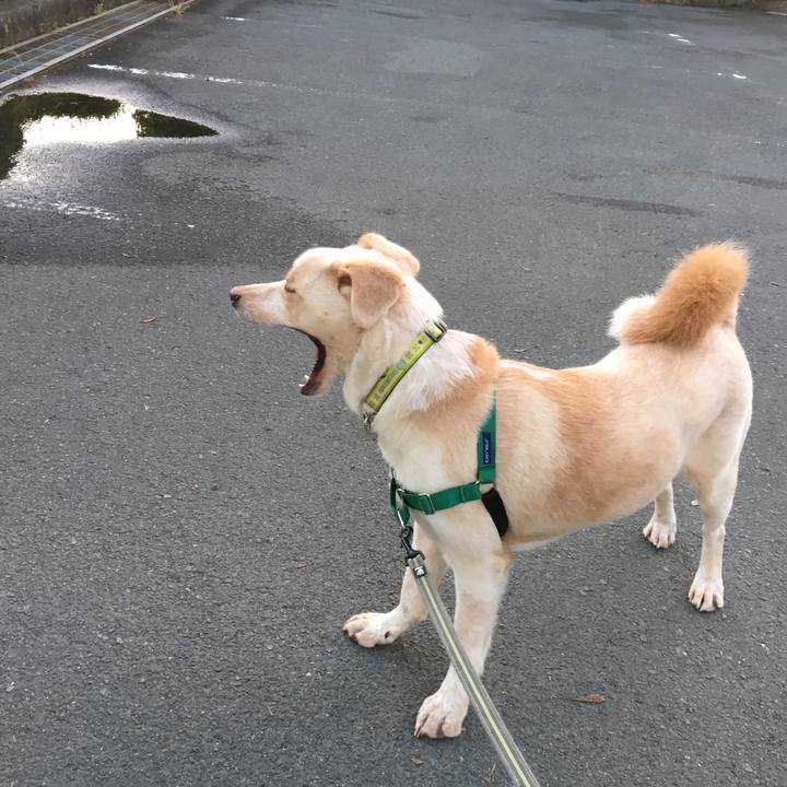 37919868 8db5 481a a1de 1a621c13468d