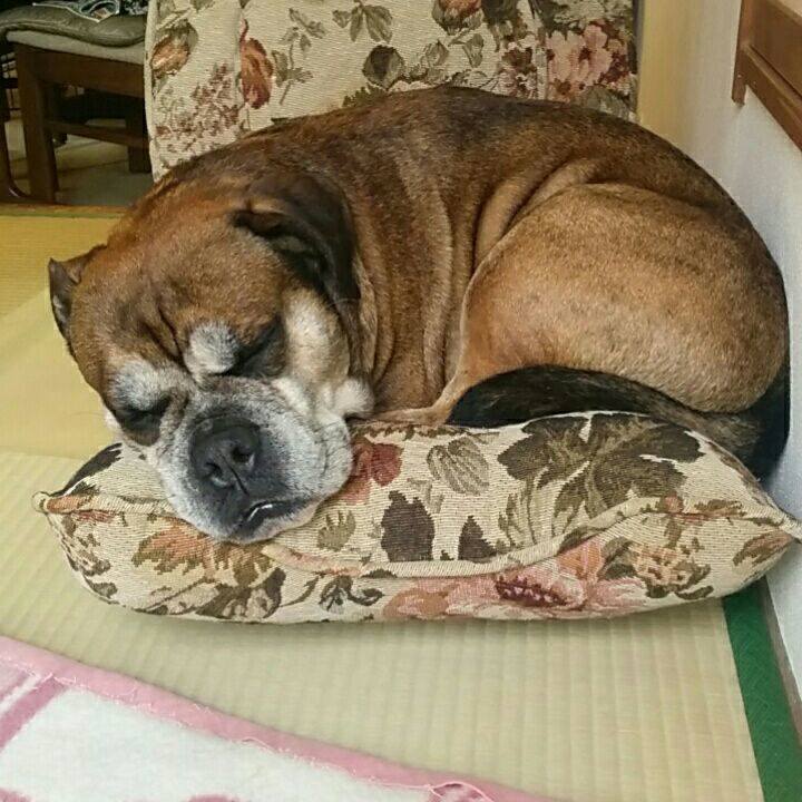 3791d4c0 f75b 4d6f 8541 fcad955b2957