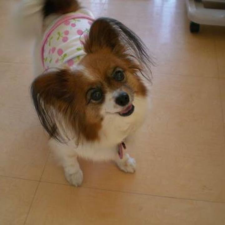 3791d74d 9e33 4954 9f09 9cbccfcdc045