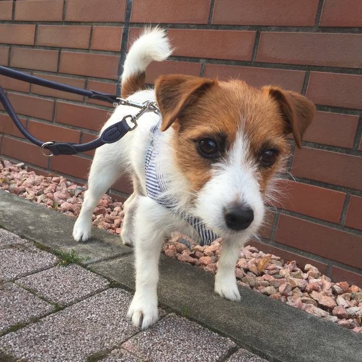 3791dae5 498f 494c af04 e47f8fcb91ef