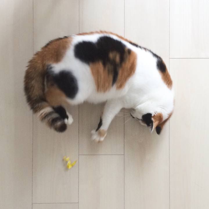 3791e64c 1d92 497f 96aa 82a21aa27459