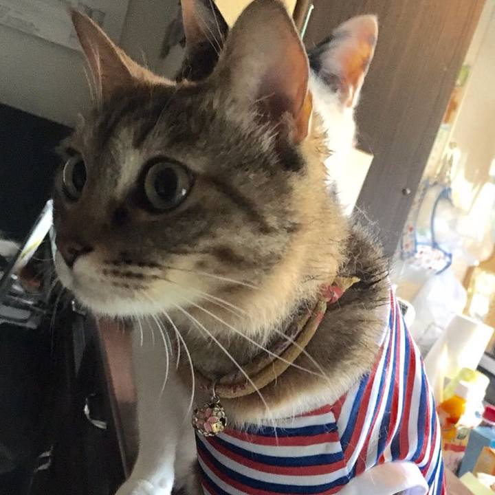 37920bb7 60ec 4723 858d 0d827e8d9819