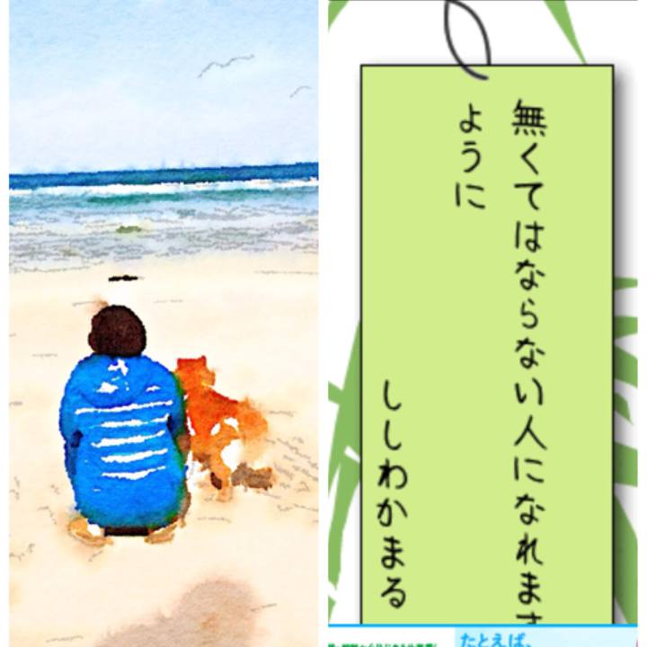 3792187b a2c7 4a6c 99fe 75de3ca9b69d