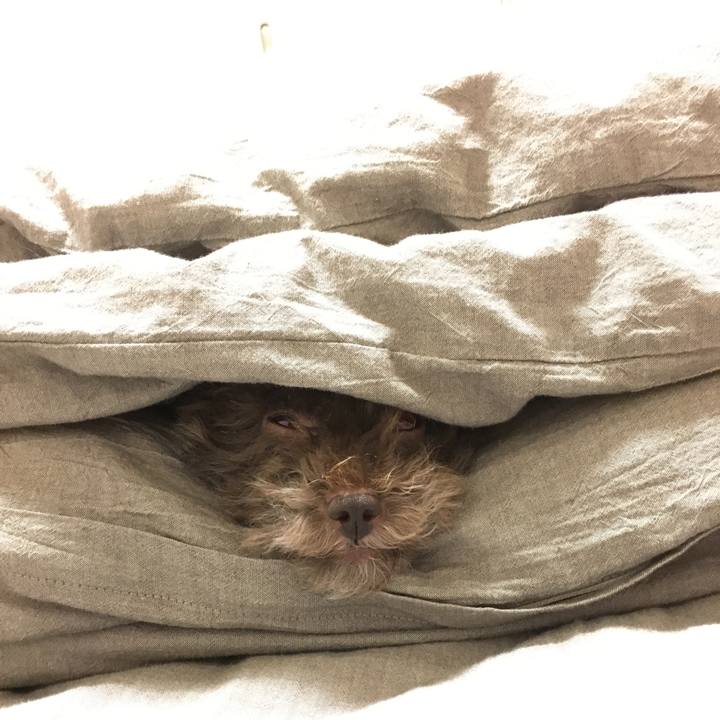 379218ef e124 4a6d 9210 ad184d882515