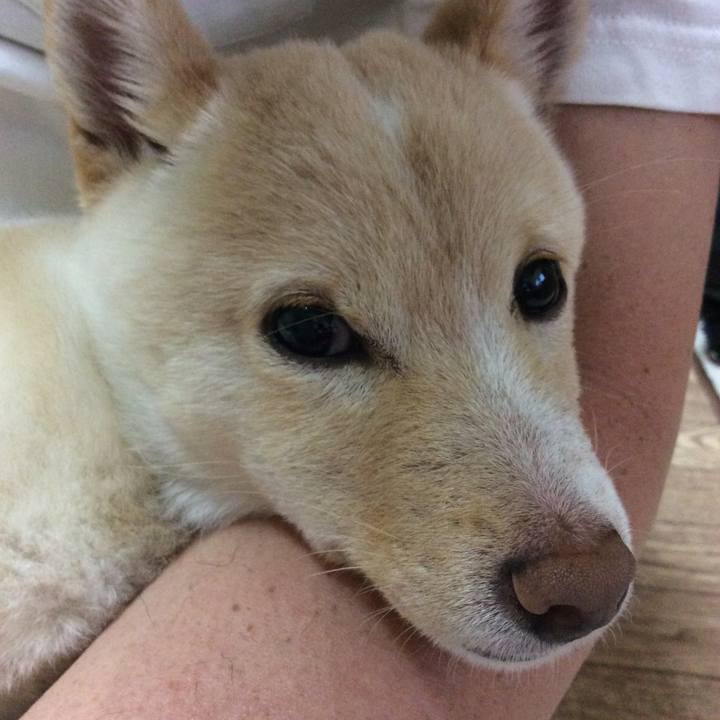 379227a4 4092 4fec a759 37567f993b3a