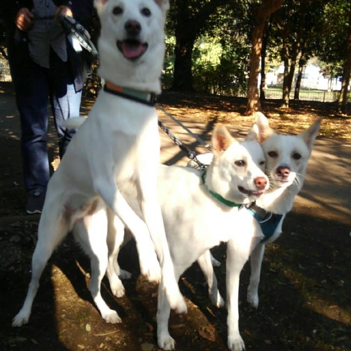 37925634 97ff 433c a733 56c6cc2d273f