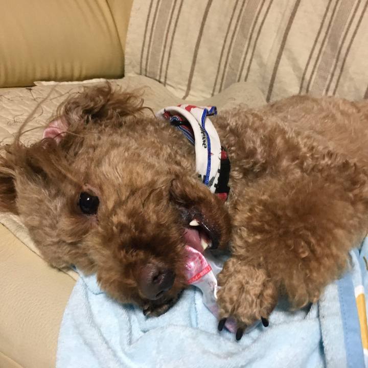 3792b3a1 9f47 40aa a872 bbbc00bf7493