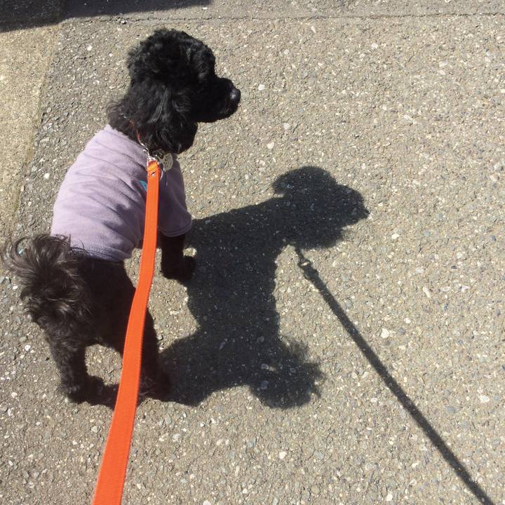 3792f3c7 d23f 400c b8f7 6b355517604a