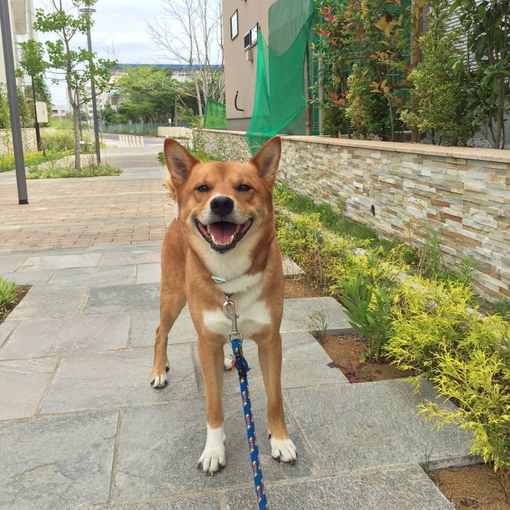 3793464c ff12 4cdc 92a1 627be49ad392