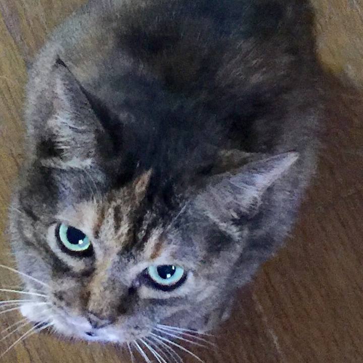 37943221 c94d 49ca 9de9 810a61743cf7