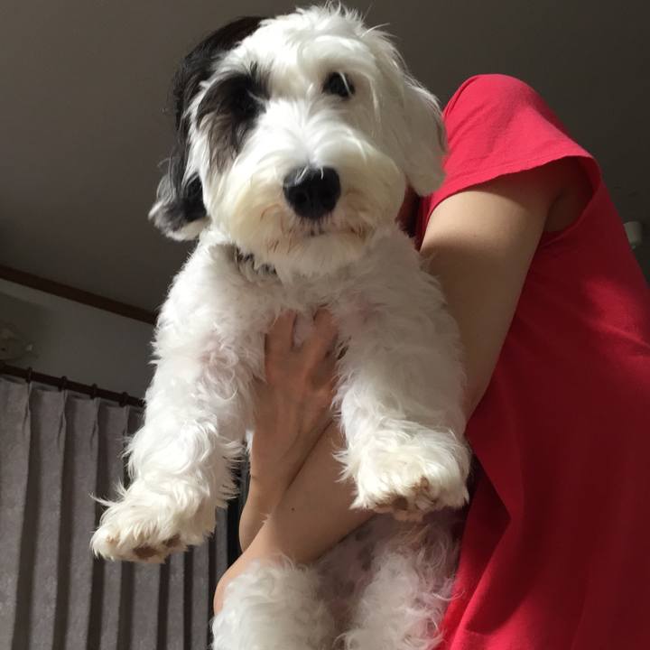 3794a783 b03d 49a5 9bb2 533ec9b68baa