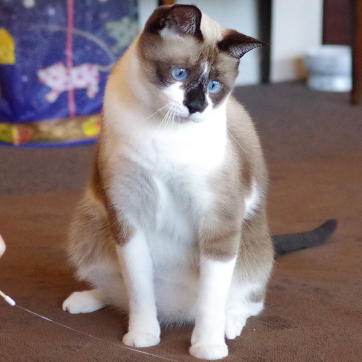 37950c5c 70ce 4121 8bd3 3128eee0cbea