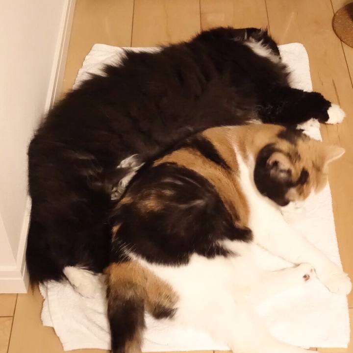 3795986e d3d4 4352 aa70 bb79ec35e699