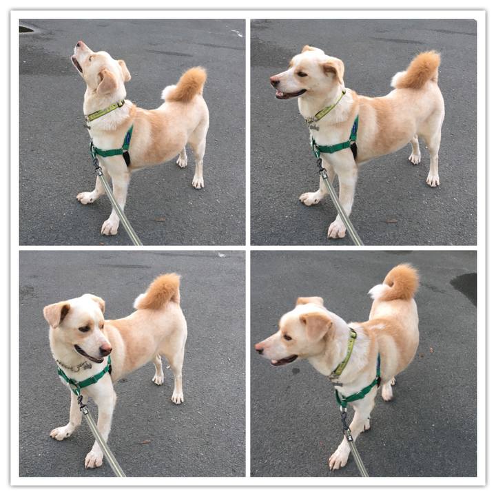 3795abbe 9182 4815 8de8 a06d1317aed8