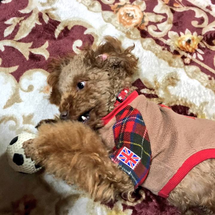 37974917 5e5f 4bb9 bdda 7557348707f0