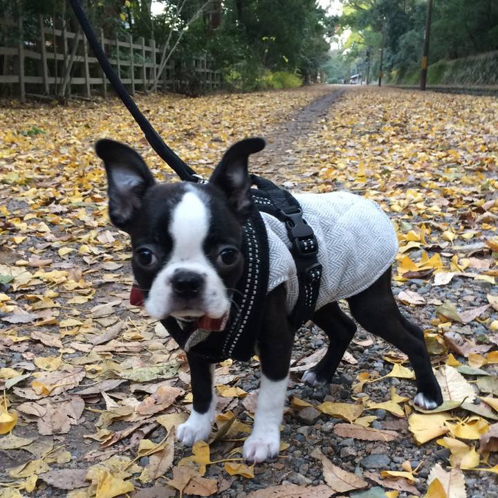 37977c06 8514 4b20 9c97 7ae7723dbe67